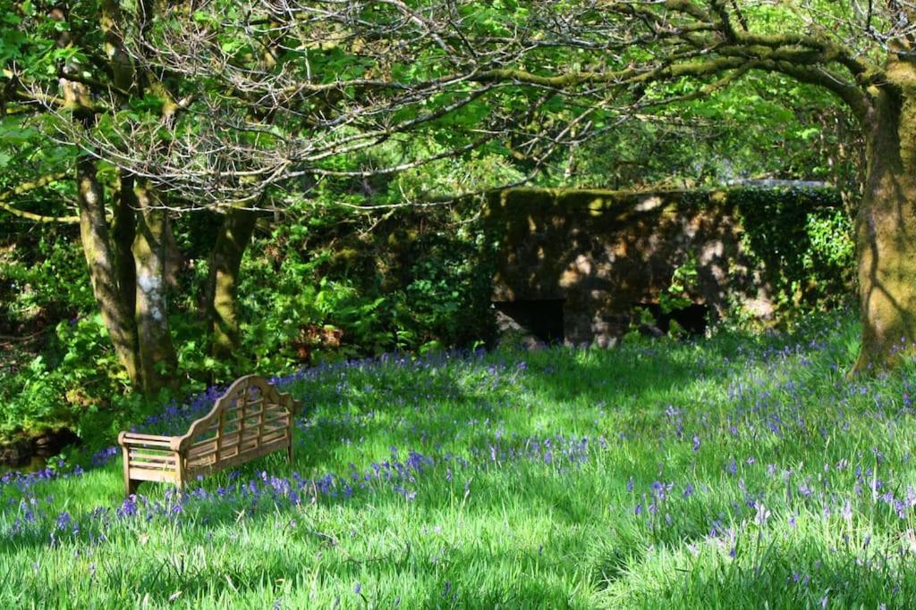 Lower Willsworthy Cottage Tavistock  Esterno foto