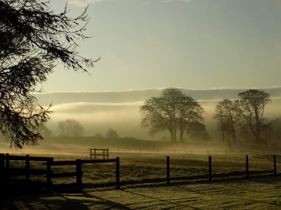 Lower Willsworthy Cottage Tavistock  Esterno foto