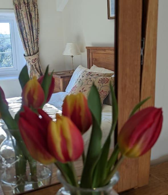 Lower Willsworthy Cottage Tavistock  Esterno foto
